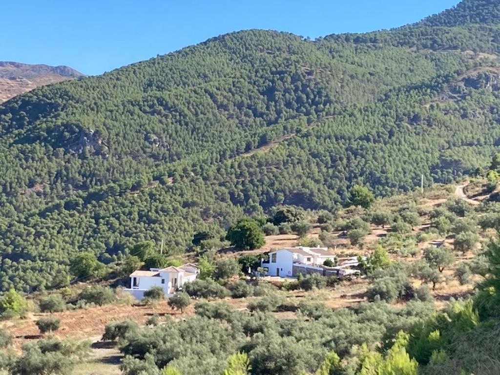 Apartamento La Fuente Alcaucín Esterno foto